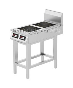 Bếp điện từ công nghiệp đôi phẳng có chân đứng