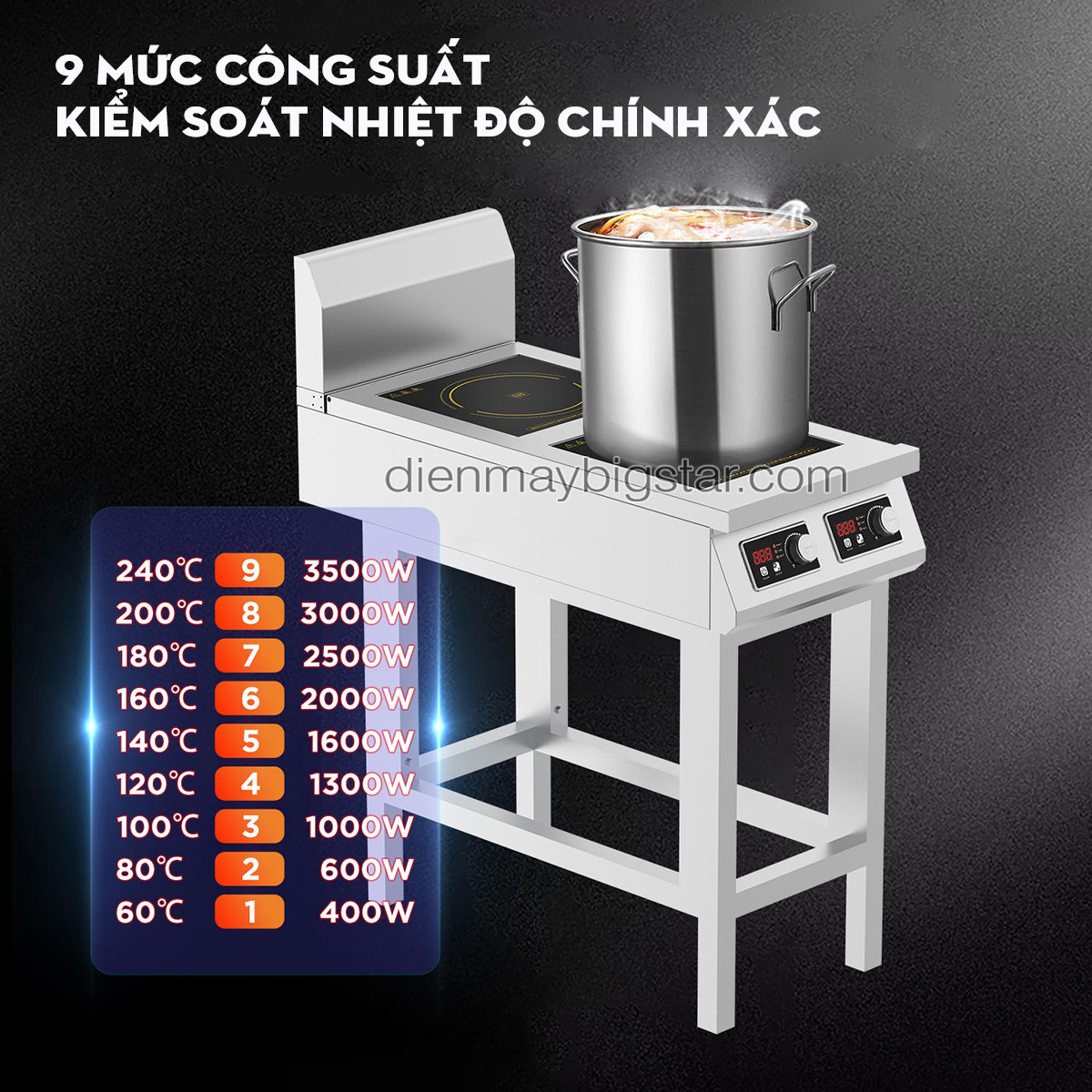 bep dien tu cong nghiep doi phang co chan dung 2