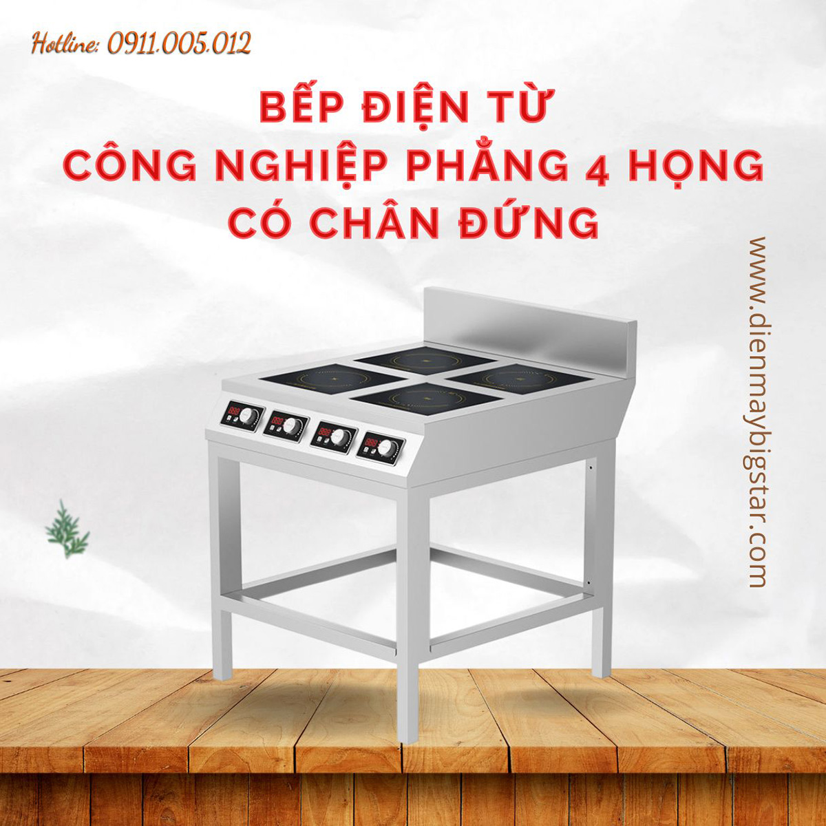 bep dien tu cong nghiep phang 4 hong co chan dung 2