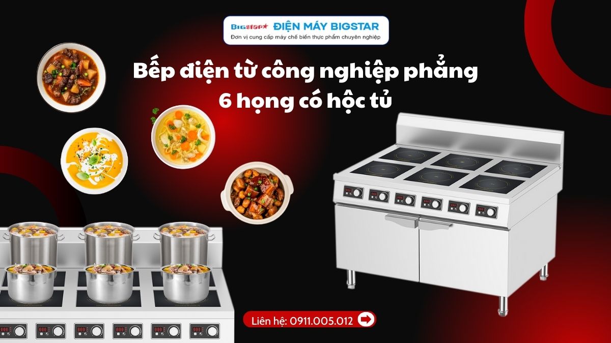 Bếp điện từ công nghiệp phẳng 6 họng có hộc tủ