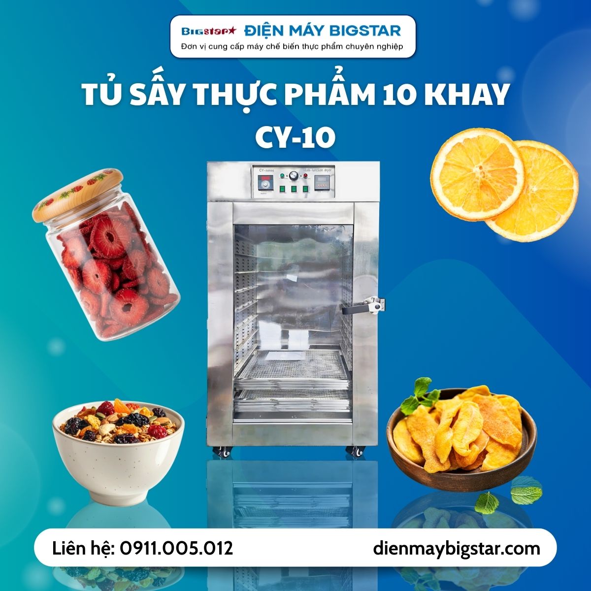 Tủ sấy thực phẩm 10 khay CY-10 15 Tủ sấy thực phẩm 10 khay CY-10