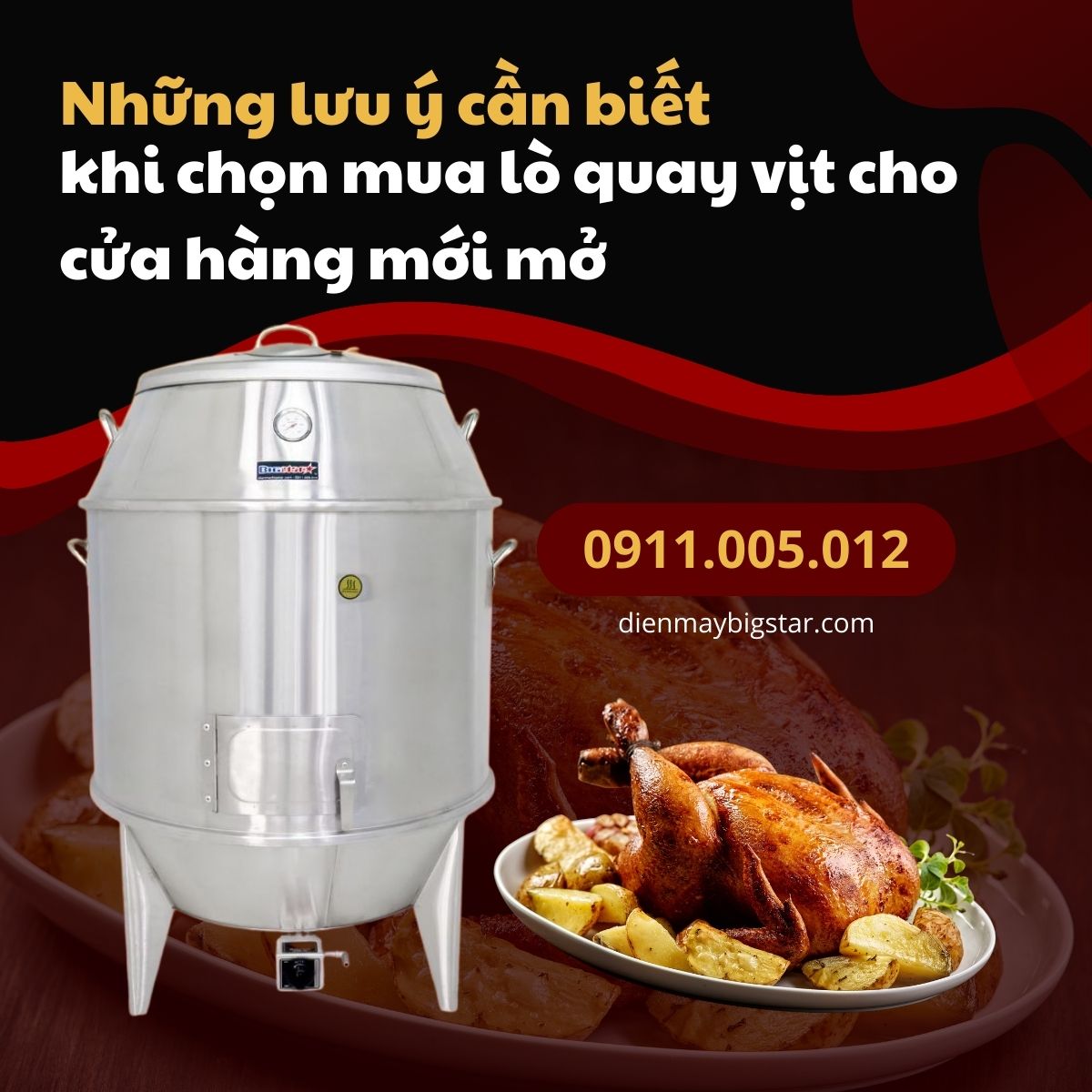 nhung luu y can biet khi chon mua lo quay vit