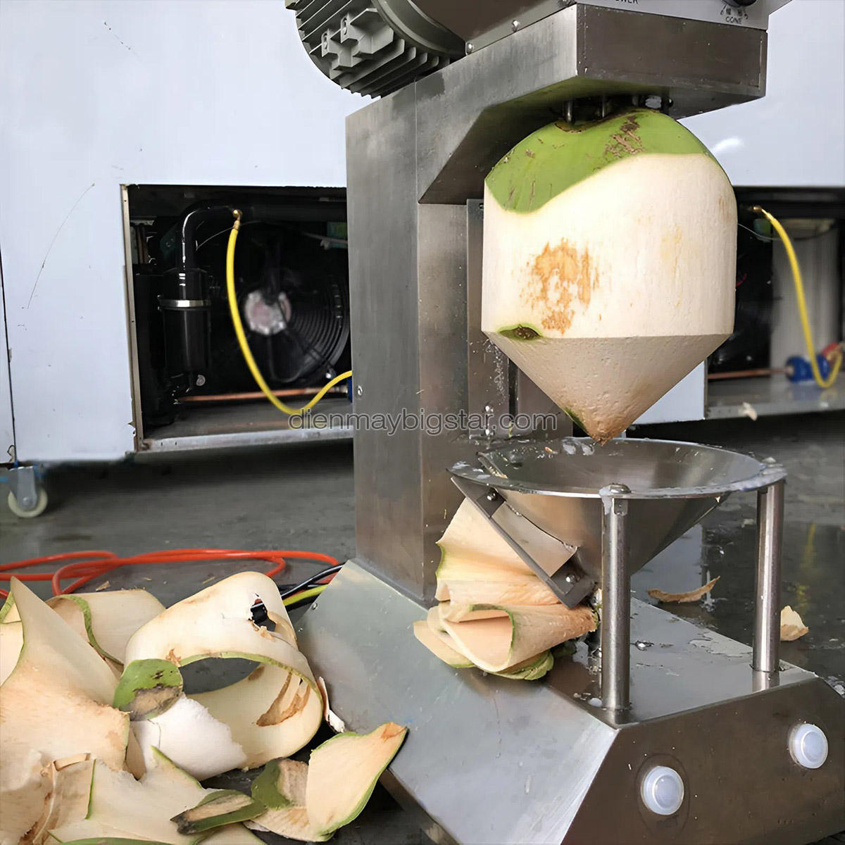 may got vo dua tu dong r