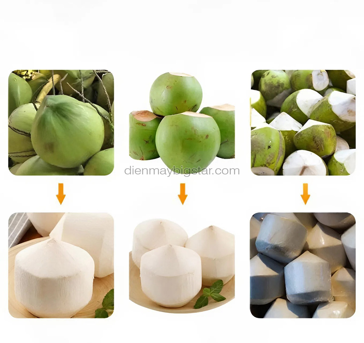 may got vo dua tu dong r 2