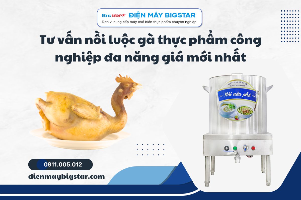 noi luoc ga thuc pham cong nghiep 2