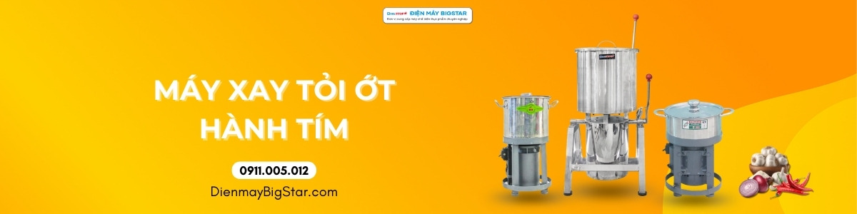 máy xay tỏi ớt hành tím