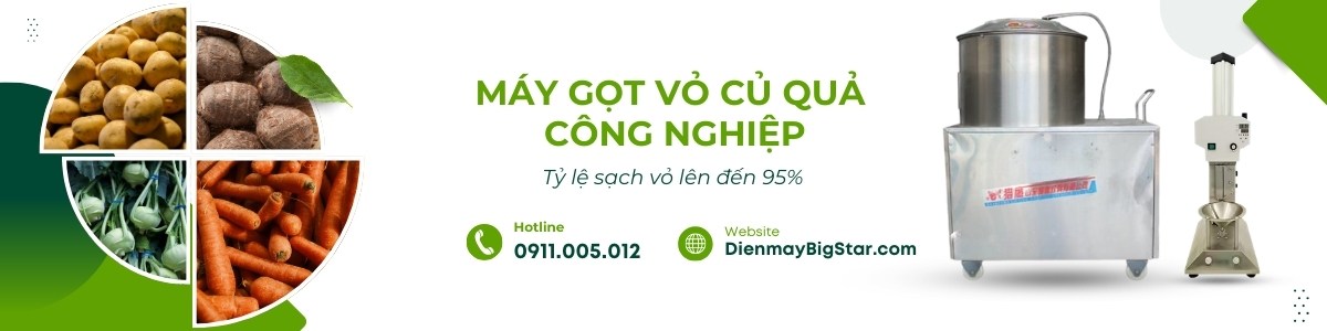 máy gọt vỏ củ quả công nghiệp