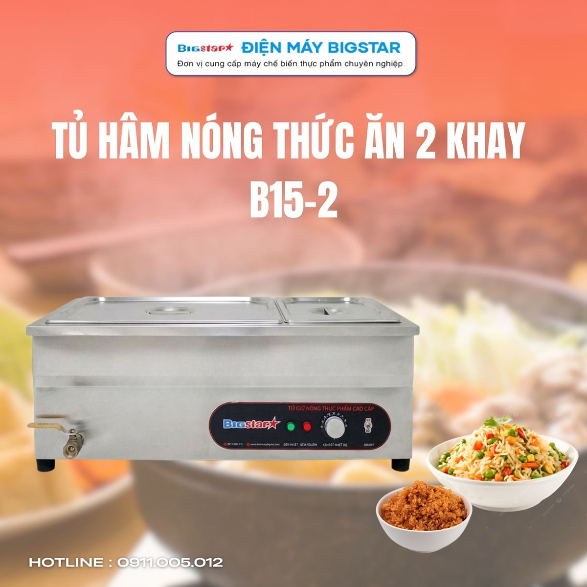 tu ham nong thuc an 2 khay B15 2 3