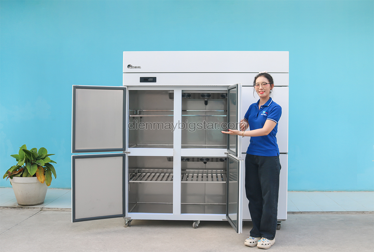 tu dong mat 6 canh quat lanh bigcool TDM 1800QL 5