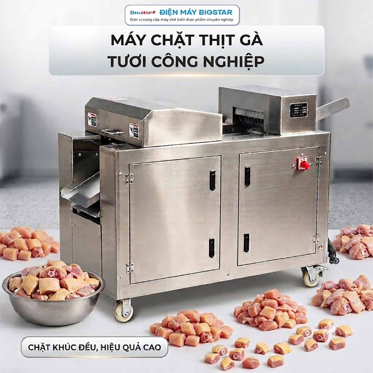 Máy chặt thịt gà tươi công nghiệp 11 may chat thit ga tuoi cong nghiep