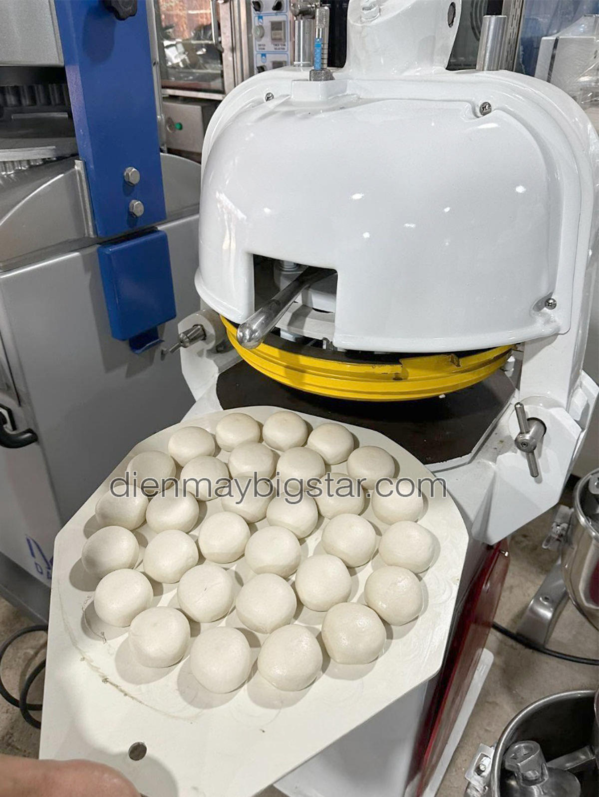 Máy chia bột vo tròn Sinmag SM-330 12 may chia bot vo tron Sinmag SM 330 1