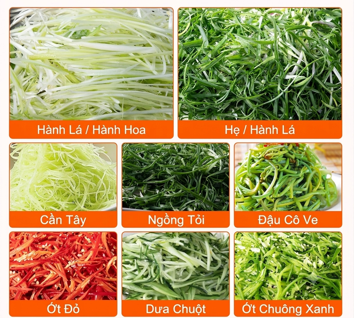 Máy thái chẻ sợi hành lá tự động 19 may thai che soi hanh la tu dong 2
