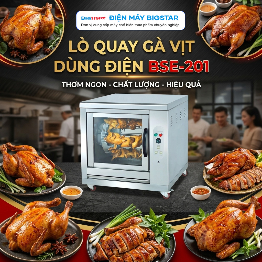 Lò quay gà vịt dùng điện BSE-201 11 lo quay ga vit dung dien bse 201 3