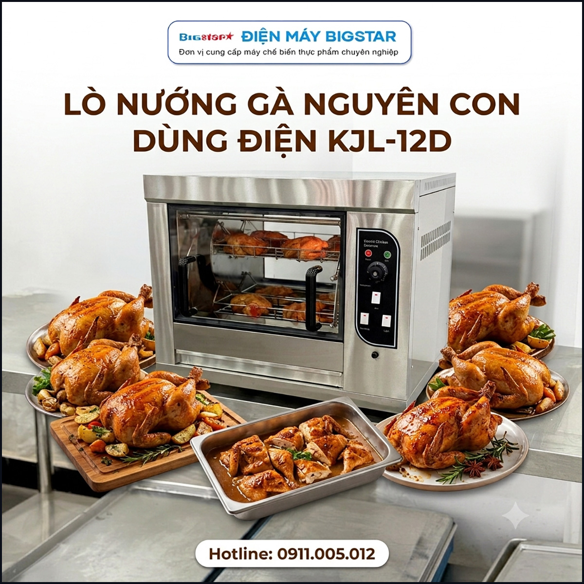 lo nuong ga nguyen con dung dien KJL 12D