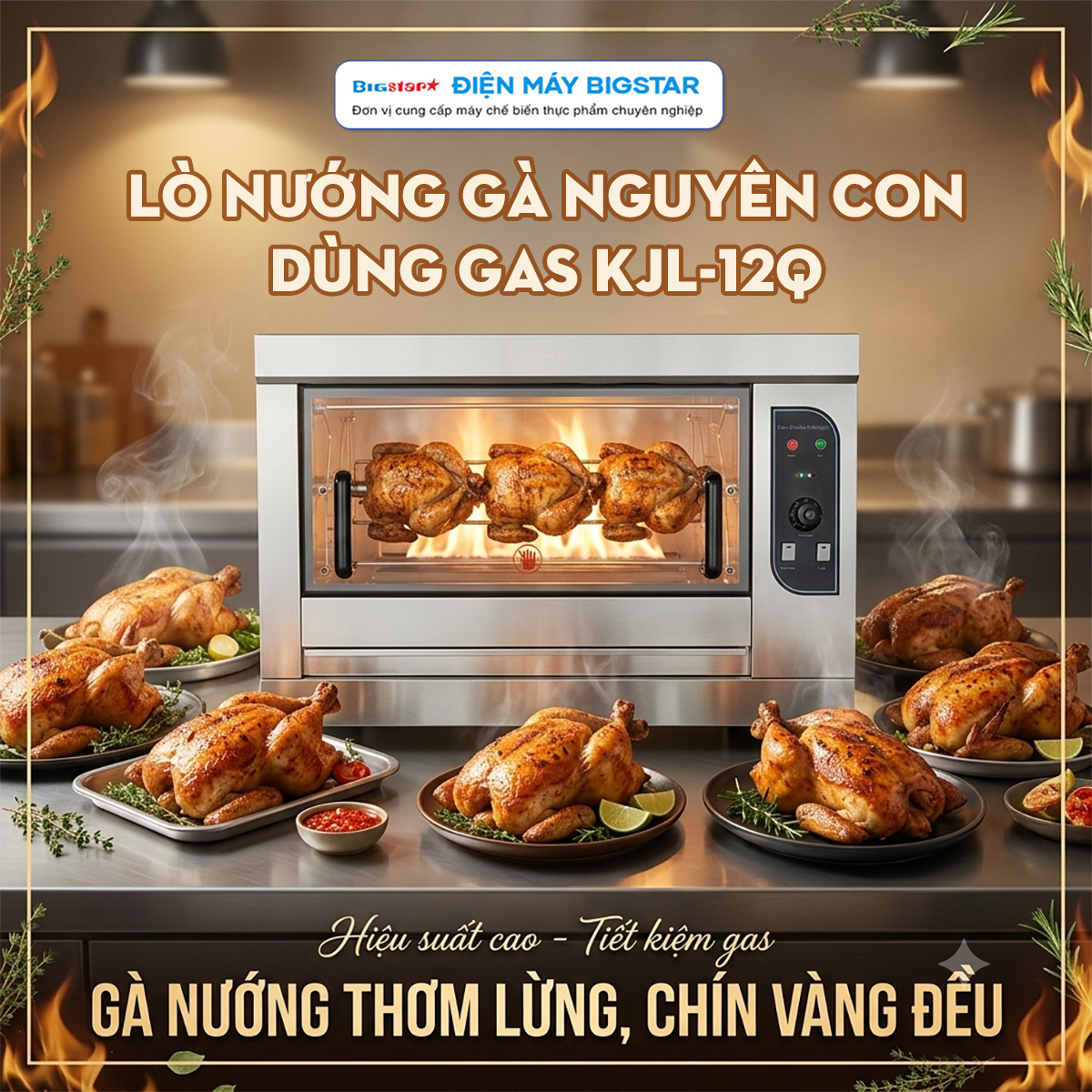 lo nuong ga nguyen con dung gas KJL 12Q