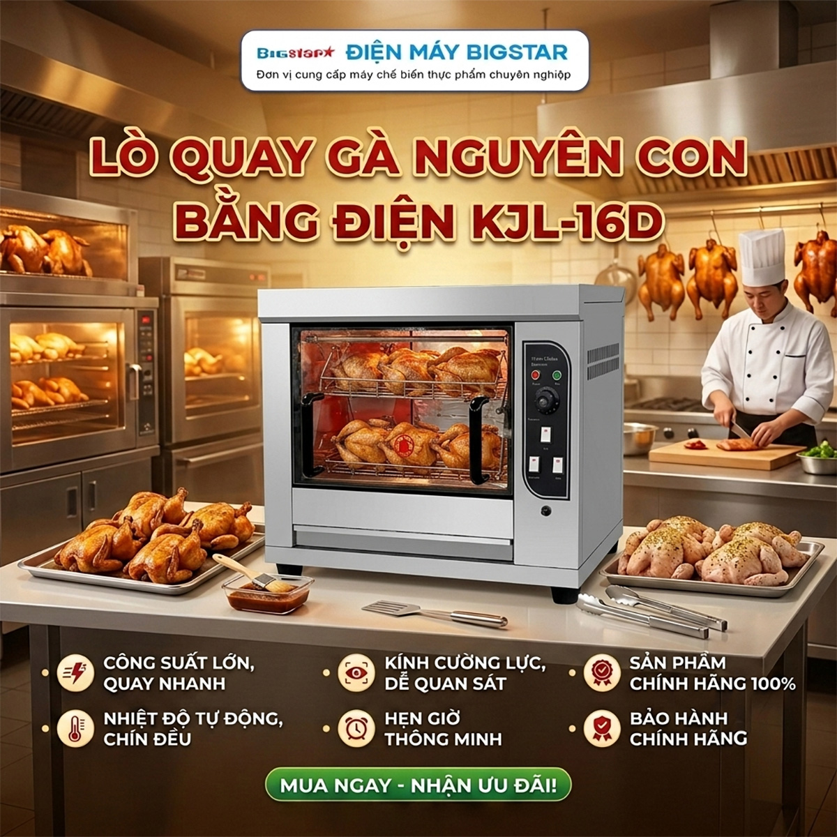 Lò quay gà nguyên con bằng điện KJL-16D 13 lo quay ga nguyen con bang dien kjl 16d