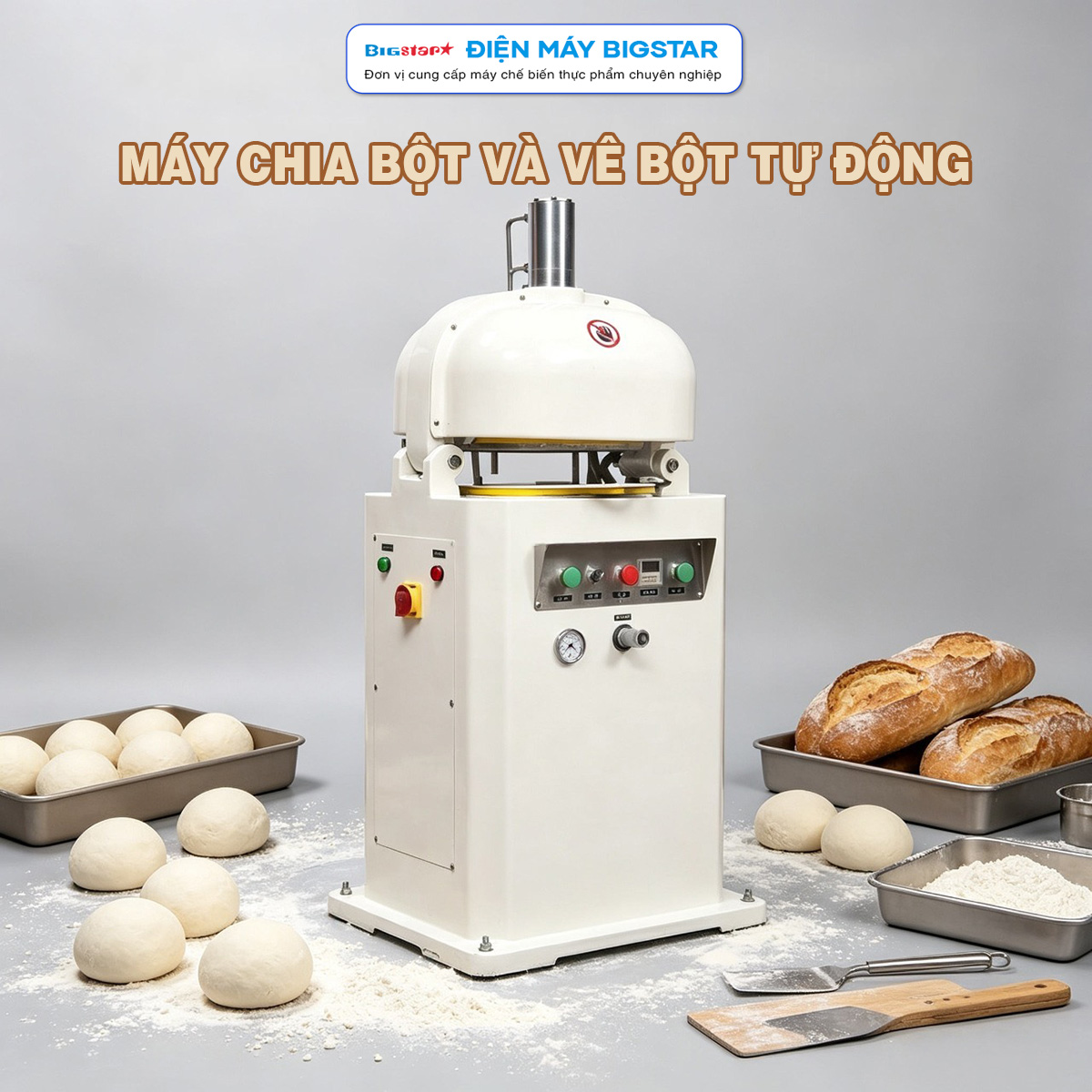 Máy chia bột và vê bột tự động 11 may chia bot va ve bot tu dong 5