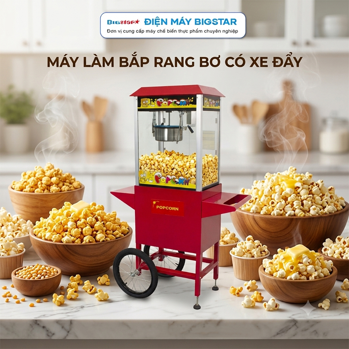 Máy làm bắp rang bơ có xe đẩy WG-802C 15 may lam bap rang bo co xe day WG 802C 10