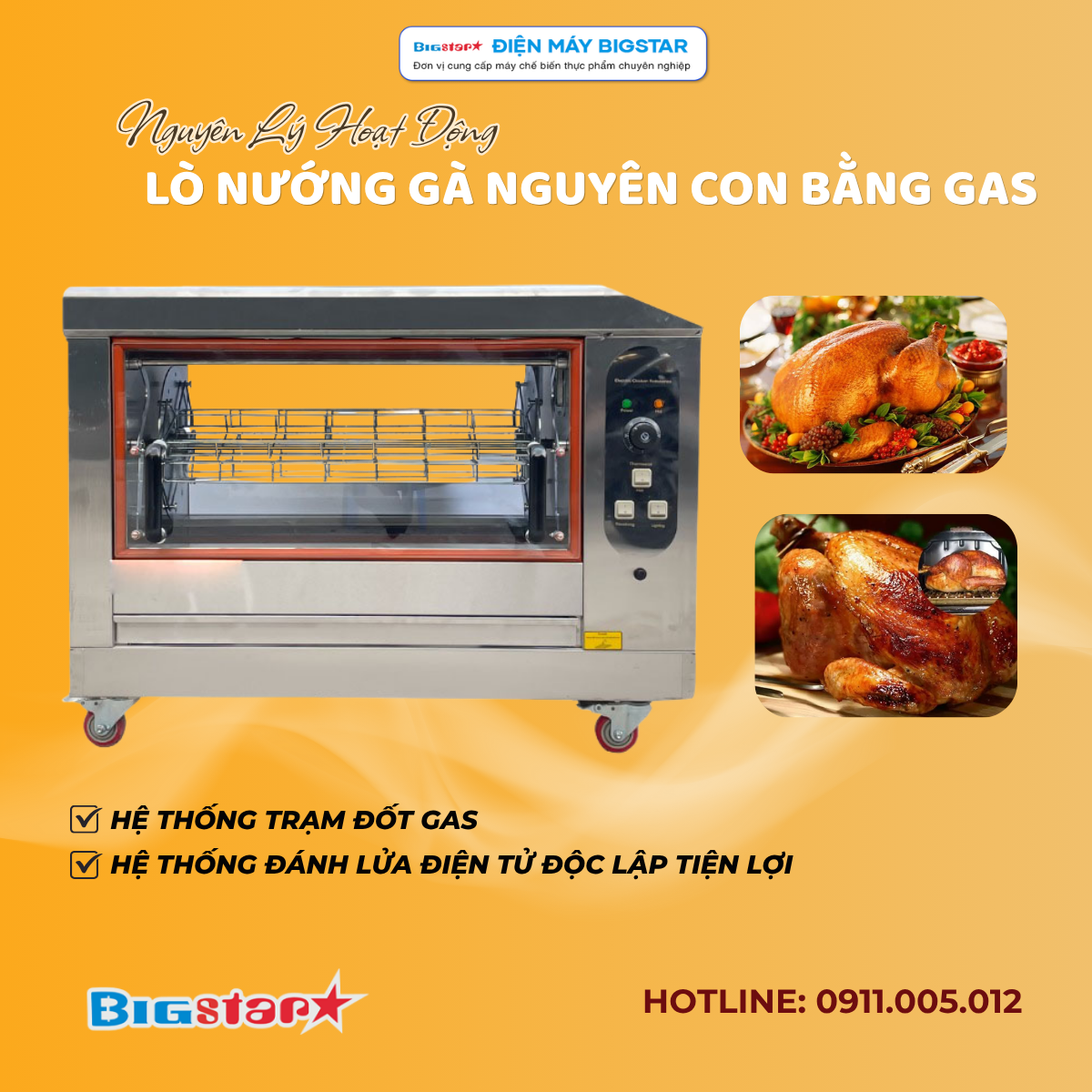 Lò quay gà nguyên con bằng gas KJL-16Q 16 LO QUAY NGUYEN CON BANG GAS 6