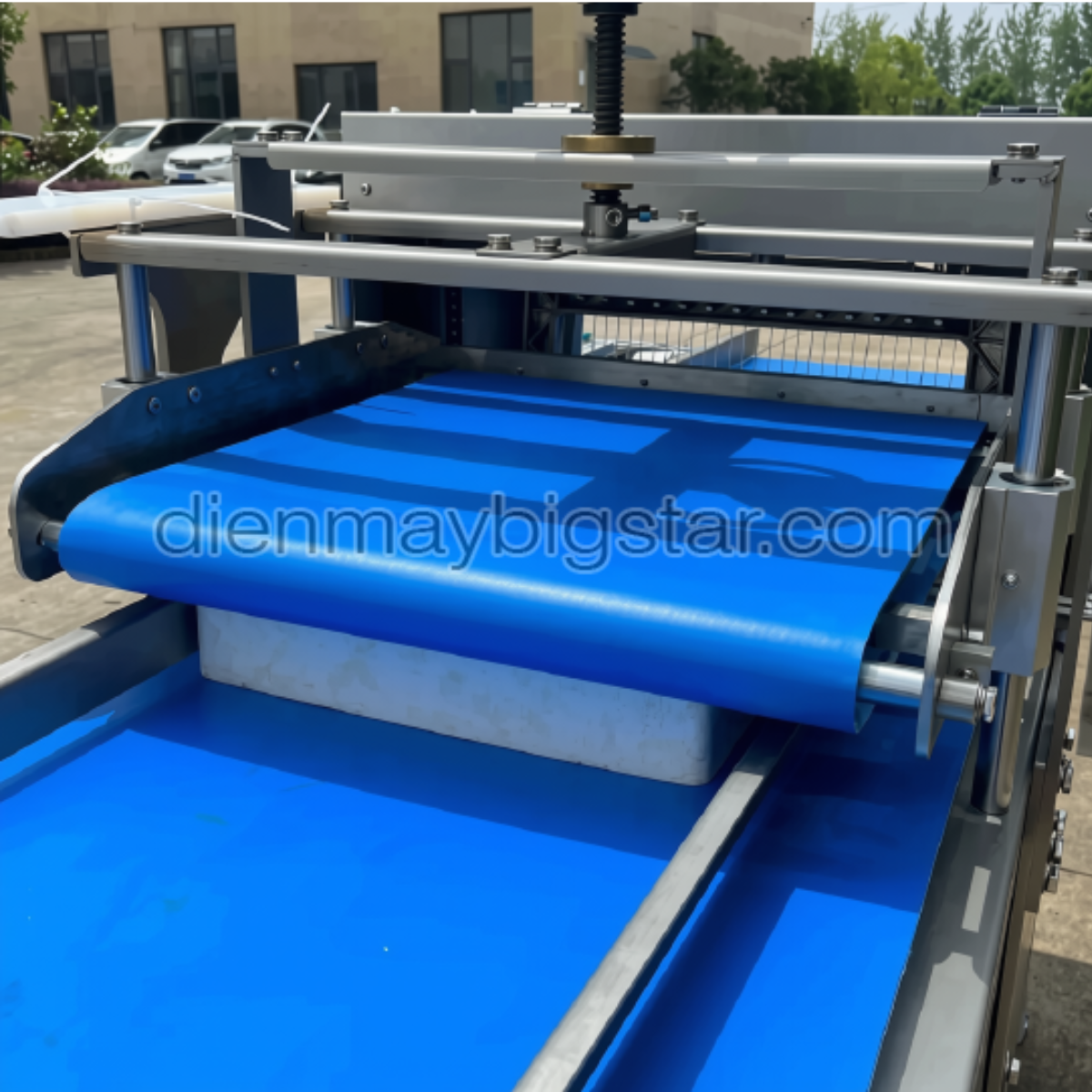 Máy cắt bánh sandwich tự động có băng tải WG-31LC 20 May cat banh sandwich tu dong co bang tai WG 31LC 5