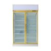 Tủ mát 2 cánh kính cao cấp 1m2 BigCool