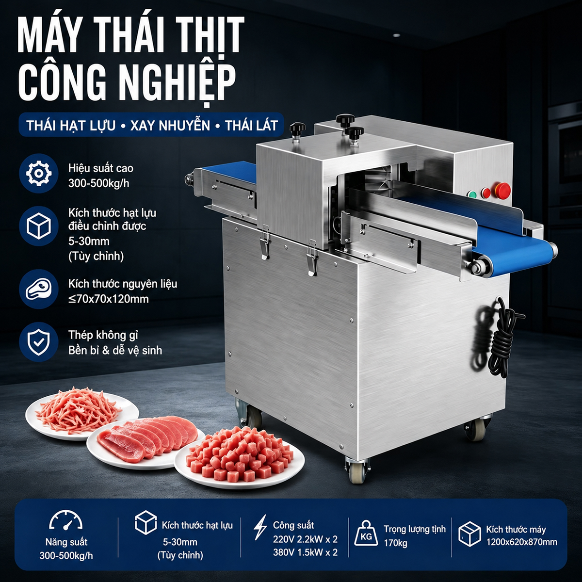 may thai thit tuoi song QS500 9