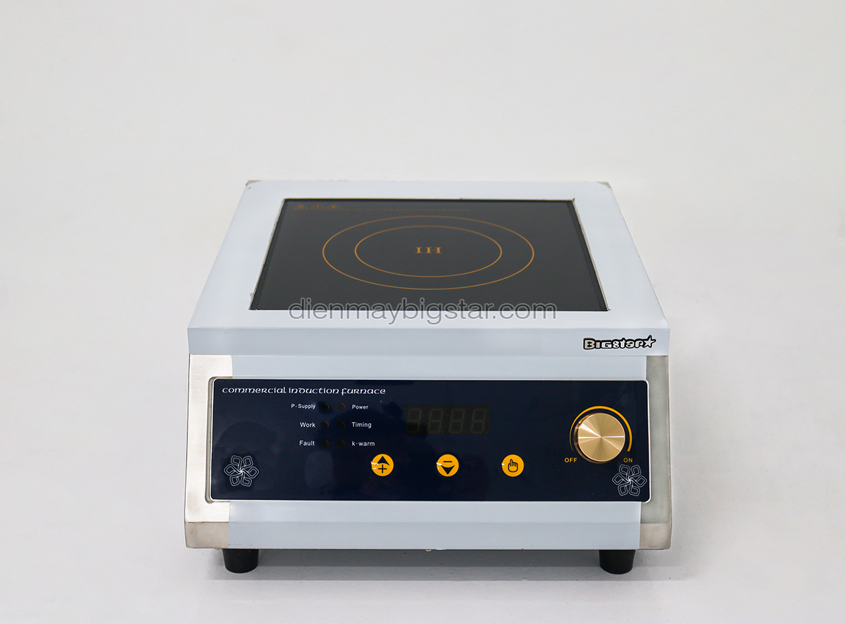 bep tu cong nghiep don mat phang num van 220V 5KW BICA 5KW 6