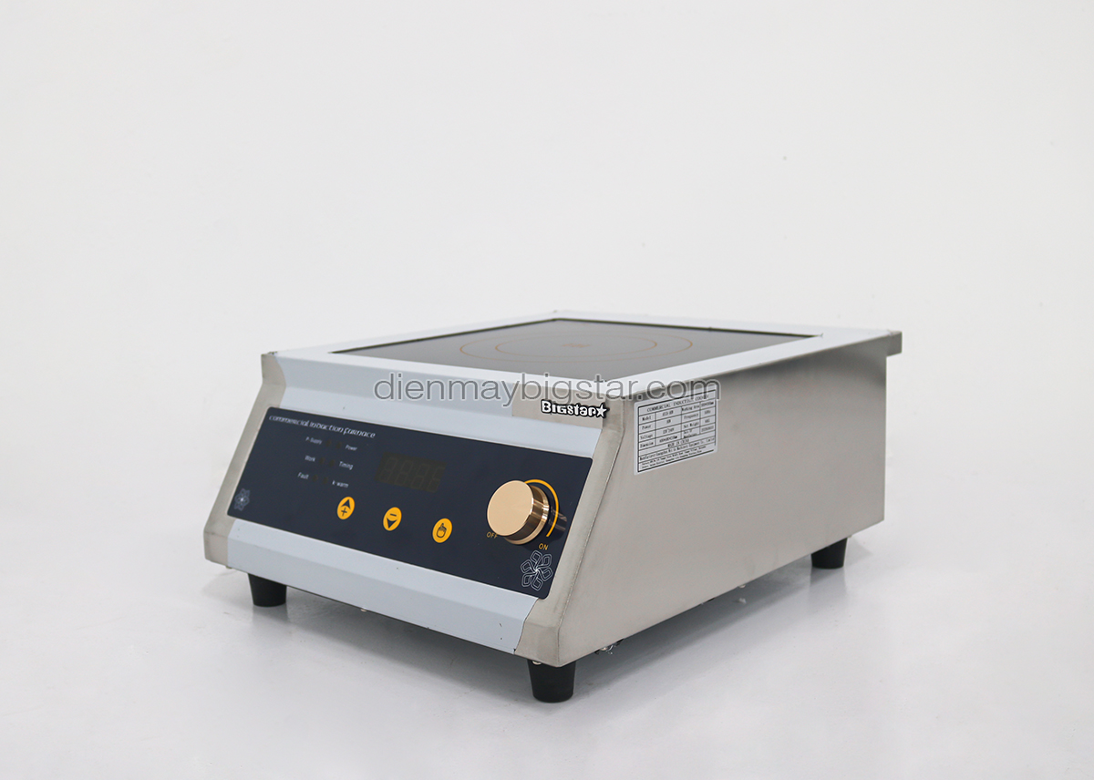 bep tu cong nghiep don mat phang num van 220V 5KW BICA 5KW 8