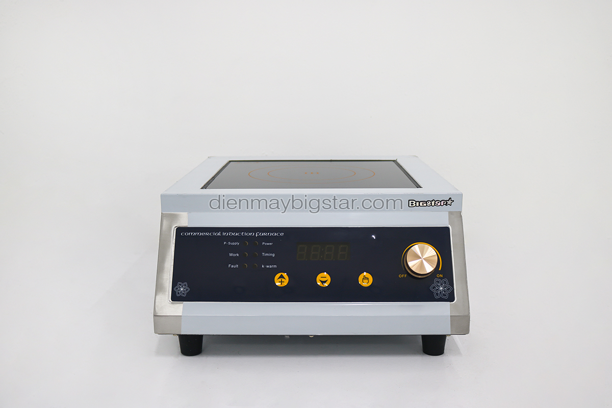 bep tu cong nghiep don mat phang num van 220V 5KW BICA 5KW 9