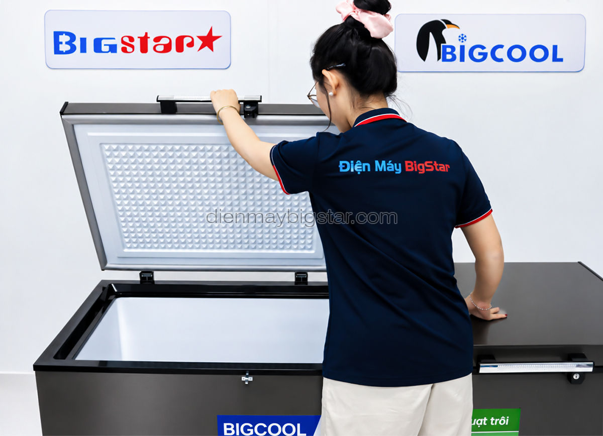 tu dong nam 1m7 bigcool ss 700Lden 8
