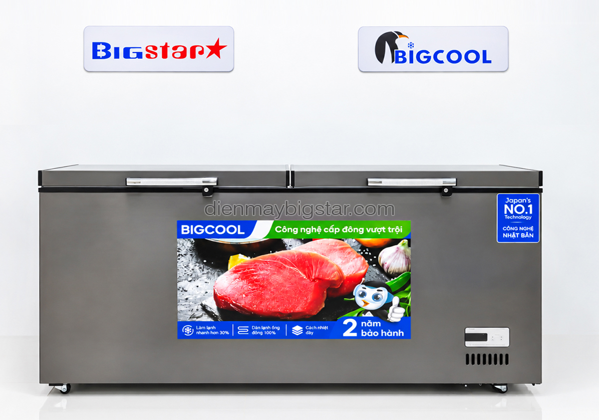 tu dong nam 900L 1m9 Bigcool SS 900L 1