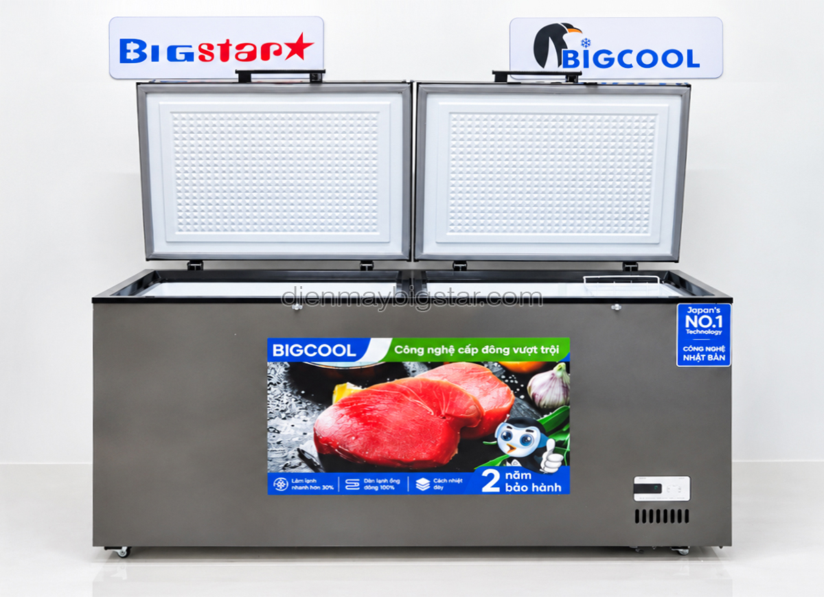 tu dong nam 900L 1m9 Bigcool SS 900L 2