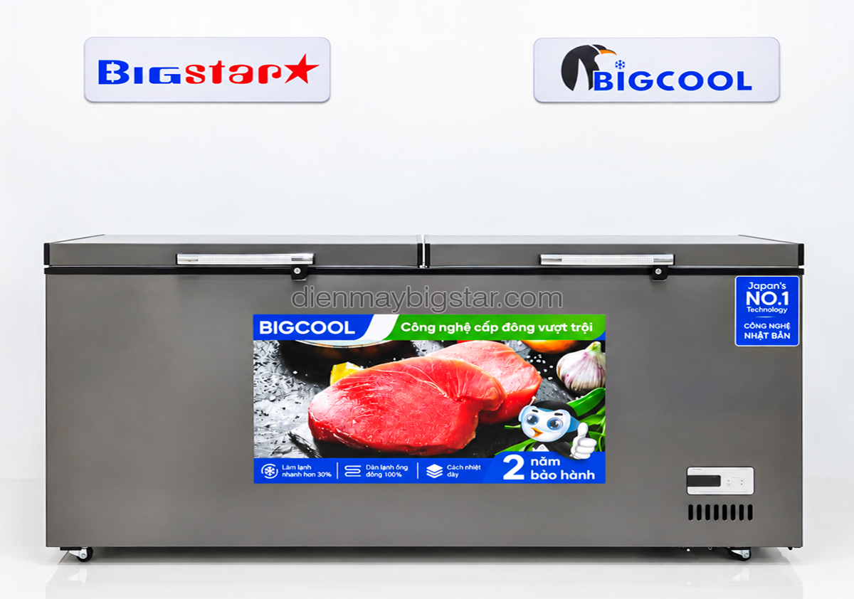 tu dong nam 1100L 2m1 Bigcool SS 1100L 3