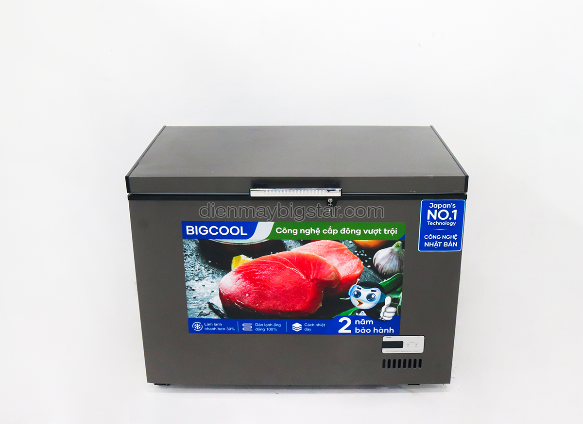 Tủ đông nằm 450L 1m1 BigCool SS-450L (ĐEN) 26 tu dong nam 450L 1m1 BigCool SS 450den 9