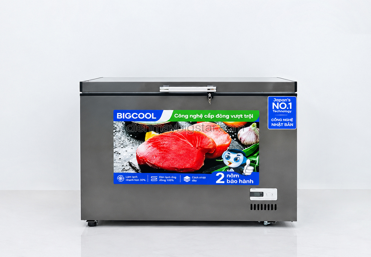tu dong nam 550L 1m4 BigCool SS 550den 7