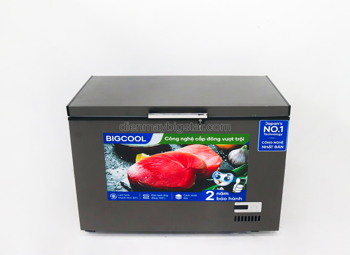 tu dong nam 550L 1m4 BigCool SS 550den 9