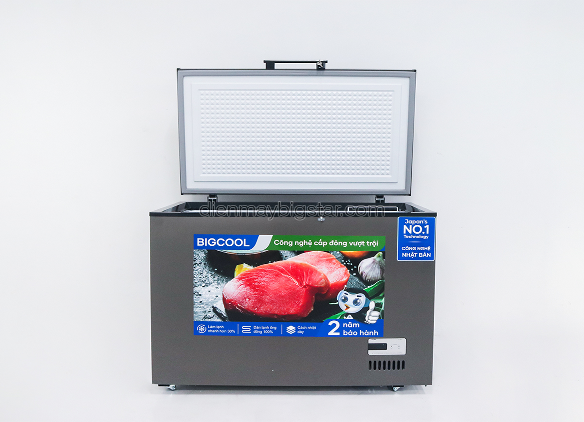 tu dong nam 550L 1m4 BigCool SS 550den 10