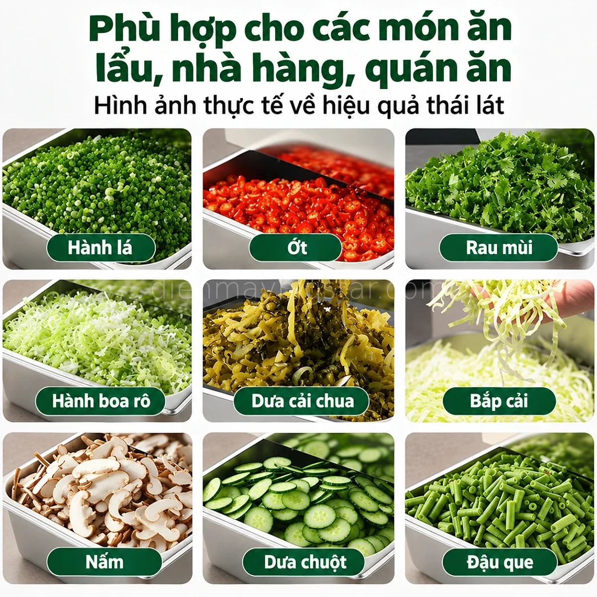 may thai rau cu yqc 750 3
